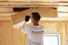 Best Insulation Removal  in Lakeside, VA